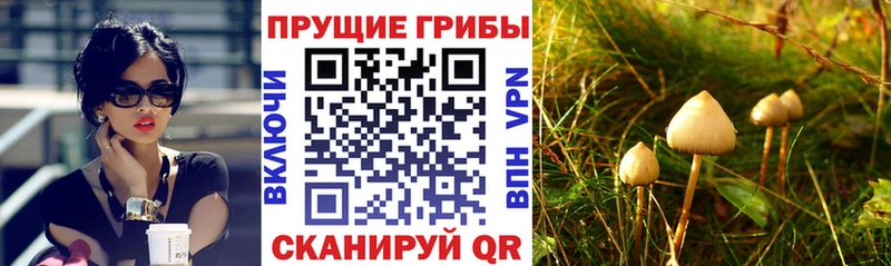 Псилоцибиновые грибы ЛСД  что такое   Каргат 