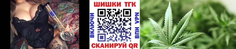 Марихуана OG Kush  Каргат 